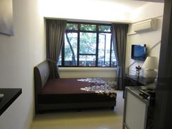 Tiong Bahru Estate (D3), Apartment #143886112